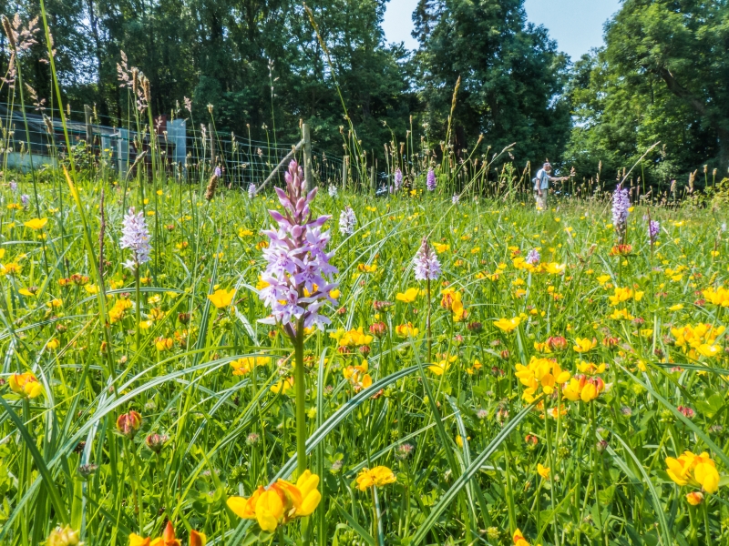 Treborth Botanic Garden, Bangor University